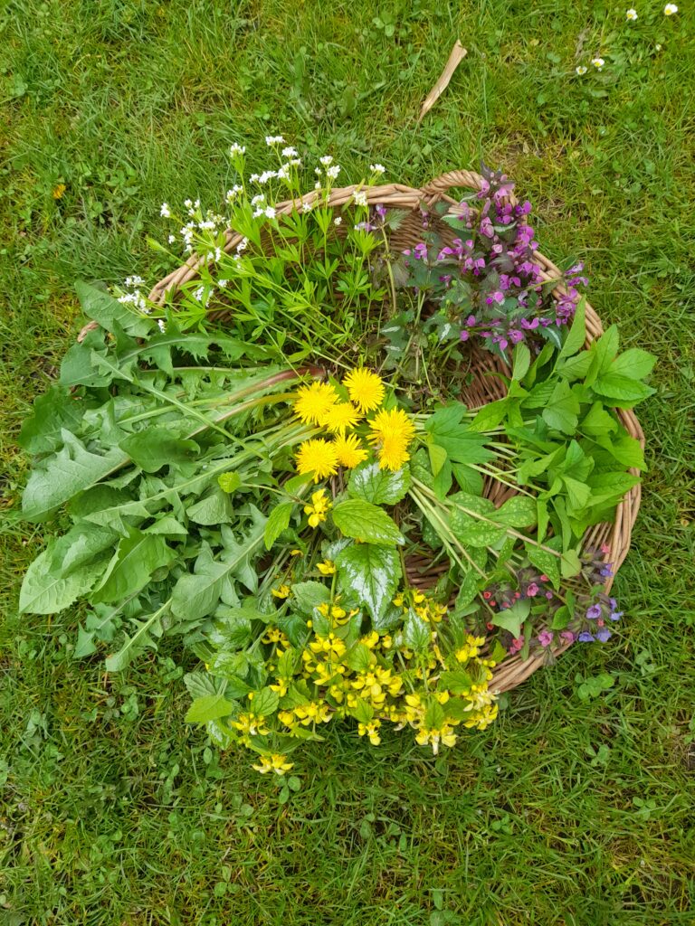 mand met kruiden ter illustratie van de luchtwegen workshop