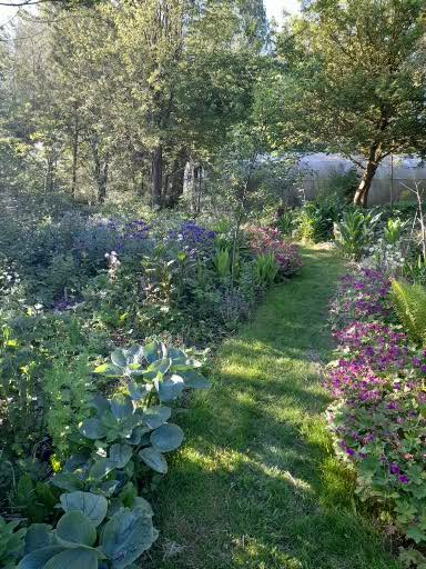 foto van de tuin voor open dag Velt