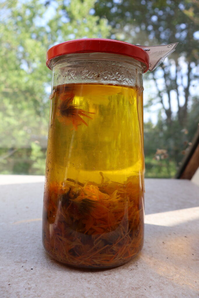 pot met goudsbloem voor workshop goudsbloemzalf