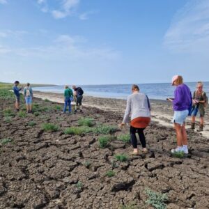 excursie Harlingen