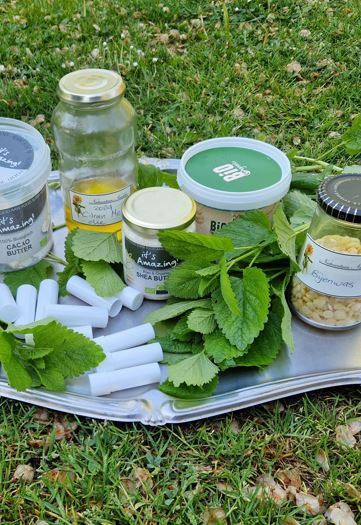 foto citroen melisse voor workshop