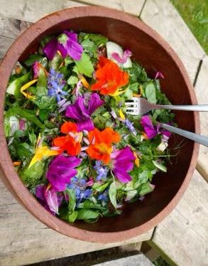 salade met bloemen voor workshop eetbare bloemen