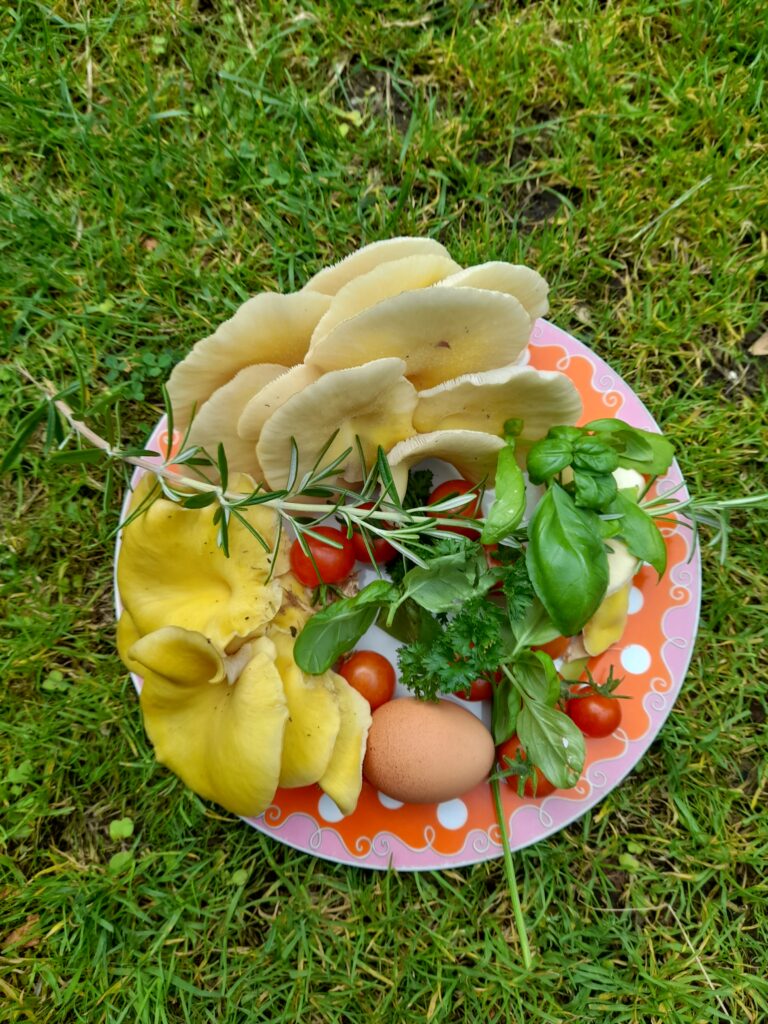 ingrediënten voor een lunch