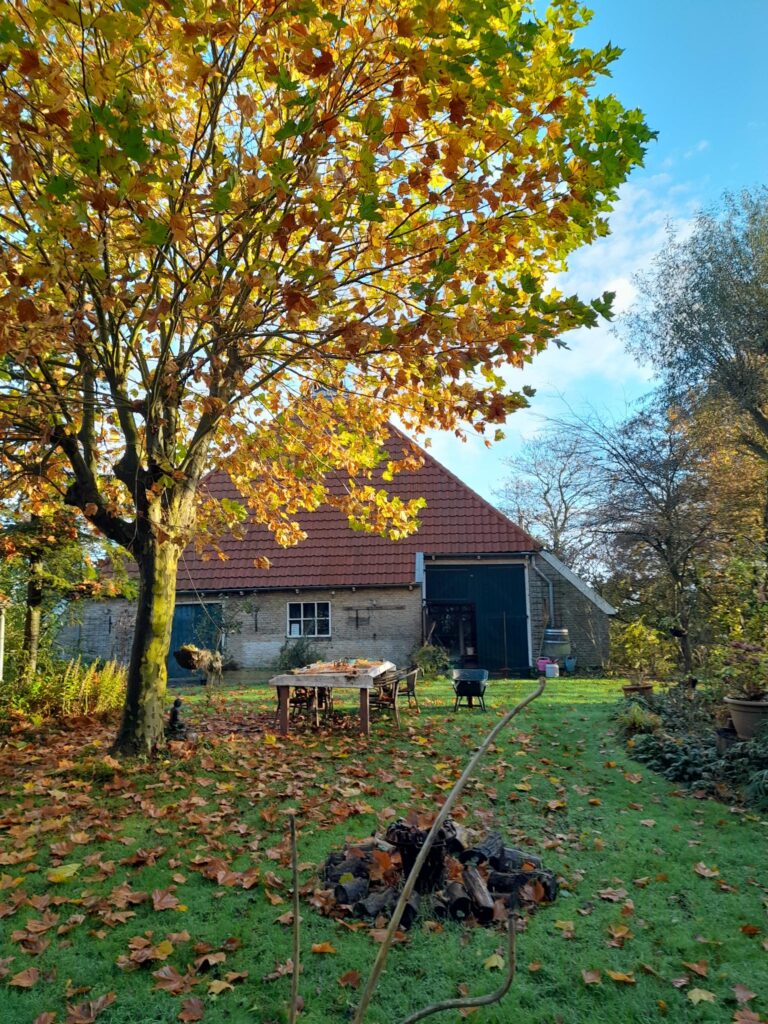 foto voor natuur werkdag