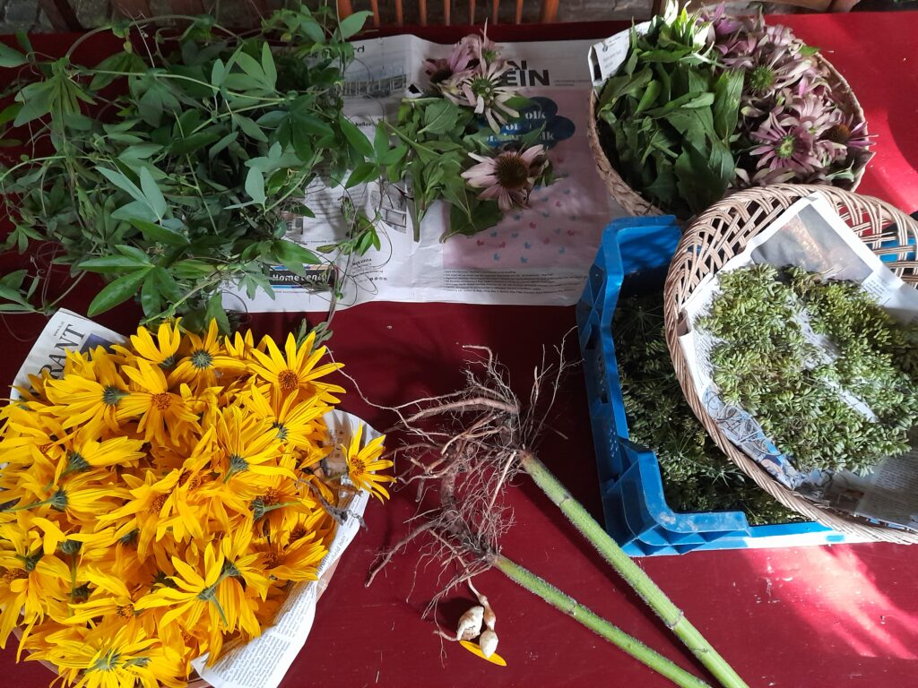 foto ter illustratie van thee proeverij