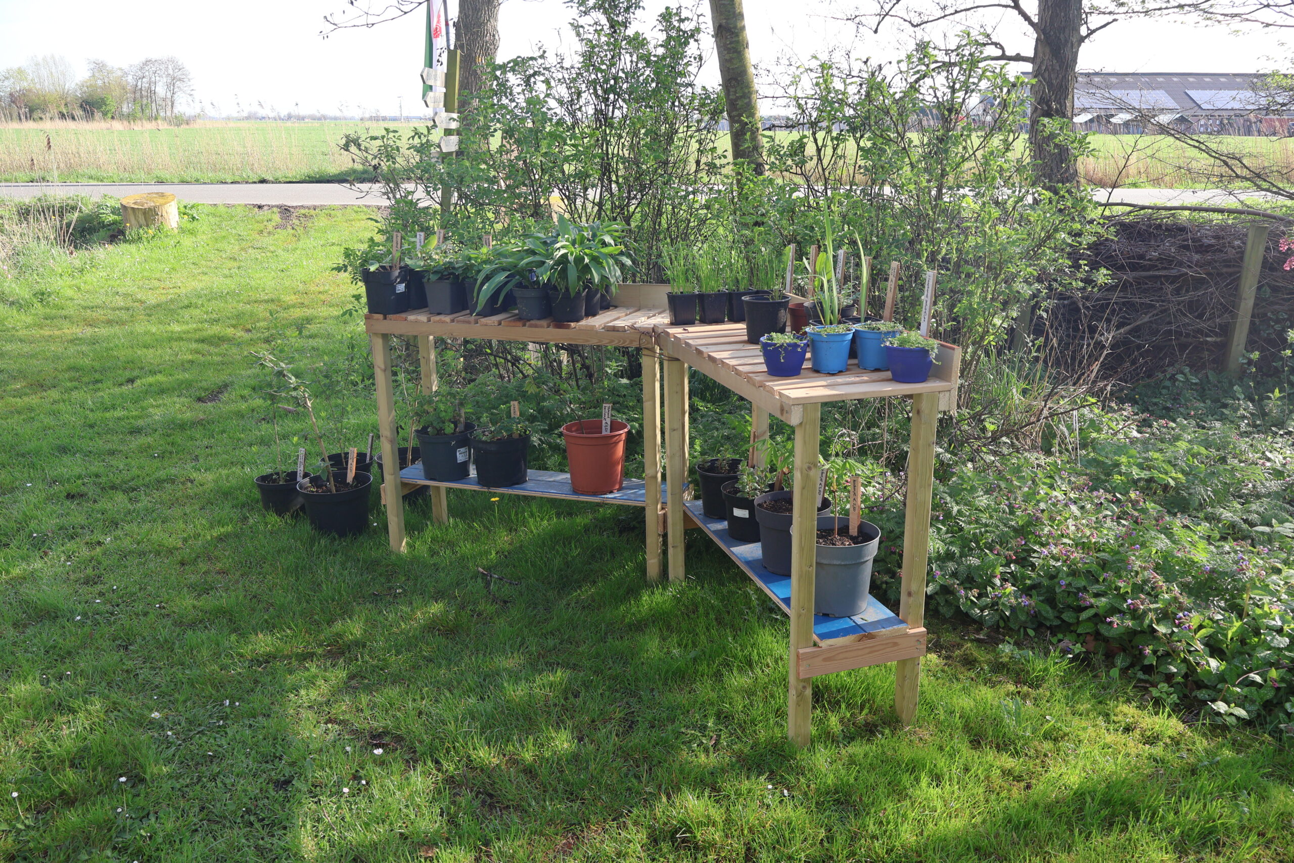 plantjes verkoop